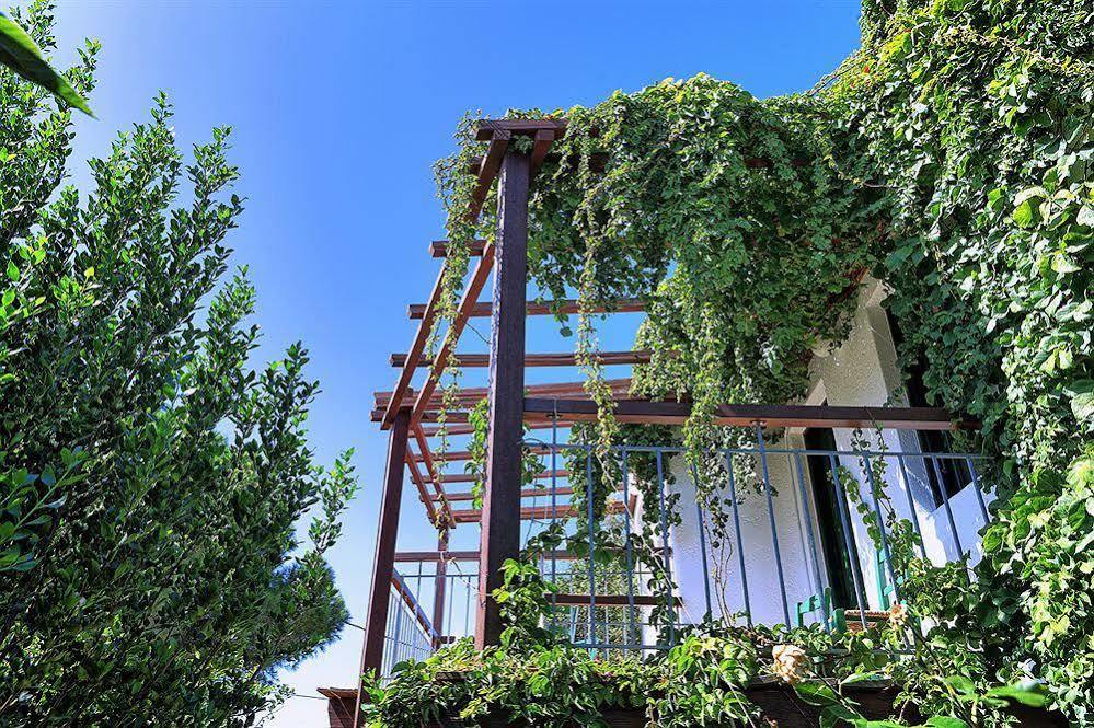 Kalypso Hotel (Adults Only) Элунда Экстерьер фото